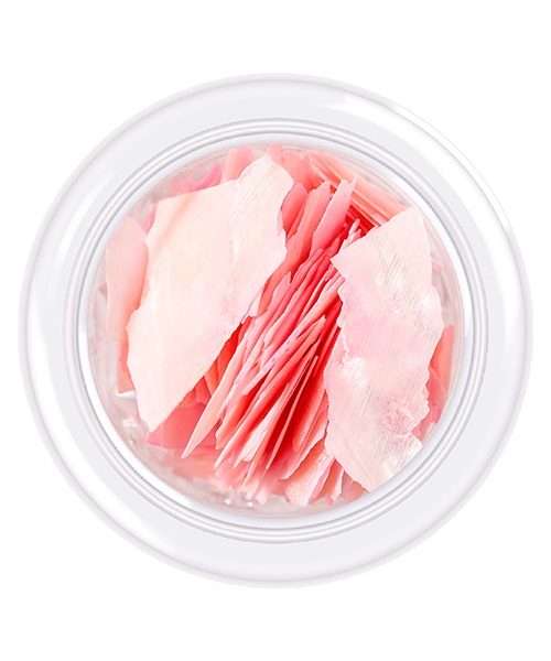Shell for nails Shells style 01 3 g Shell for nails Shells style 01 3 g