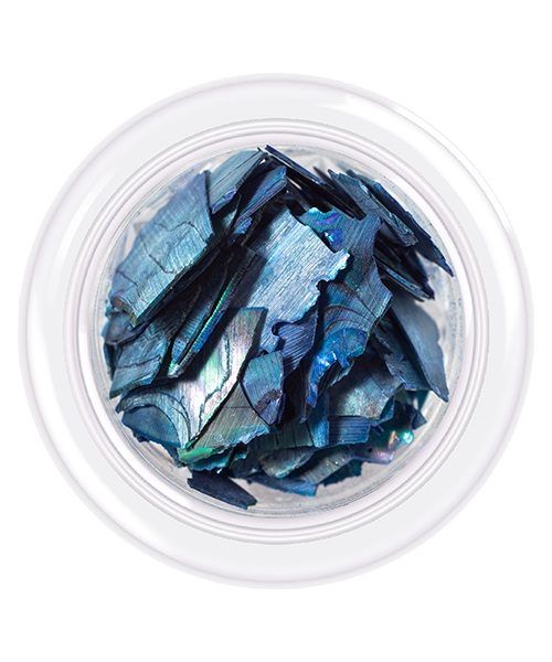 Shell for nails Shells style 05 3 g Shell for nails Shells style 05 3 g